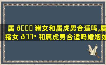 属 💐 猪女和属虎男合适吗,属猪女 🌺 和属虎男合适吗婚姻如何